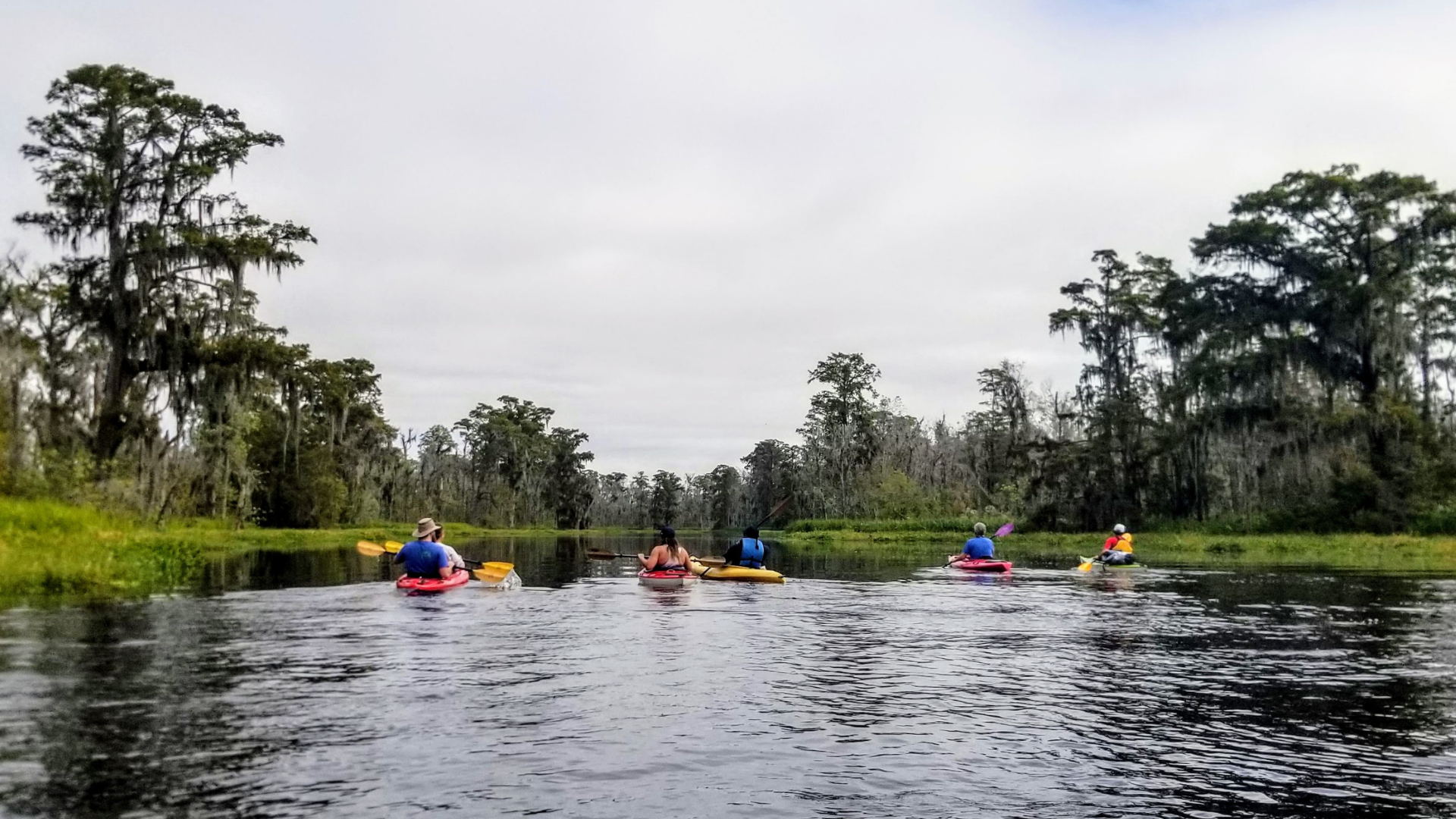kayak