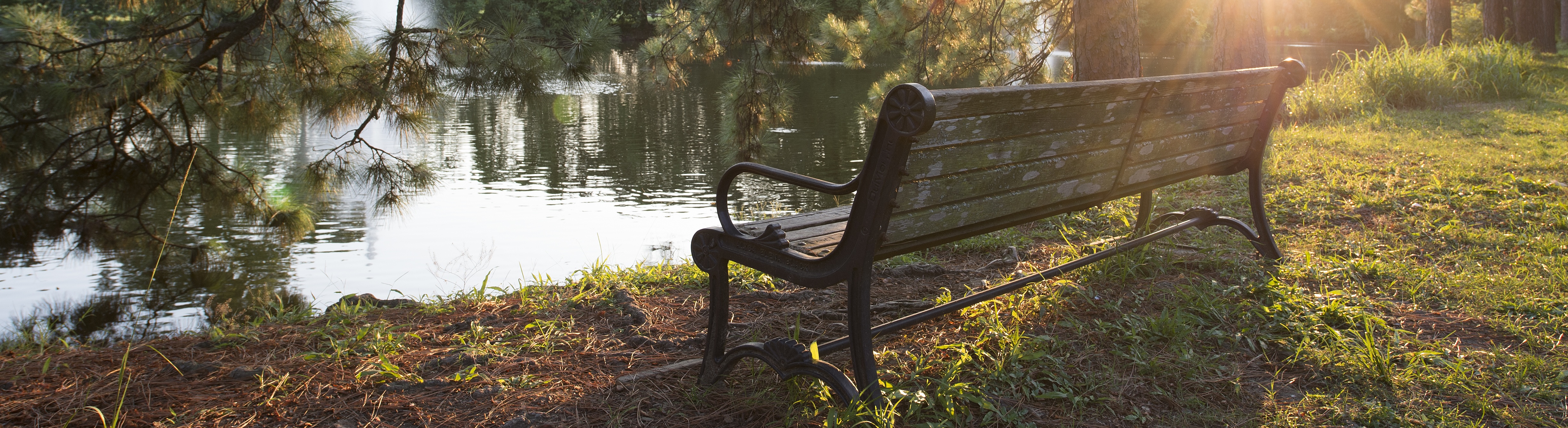 A park bench overlooking a lake