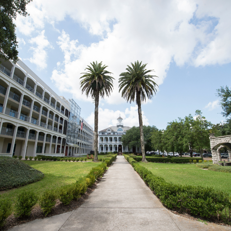 Greenville Lawn